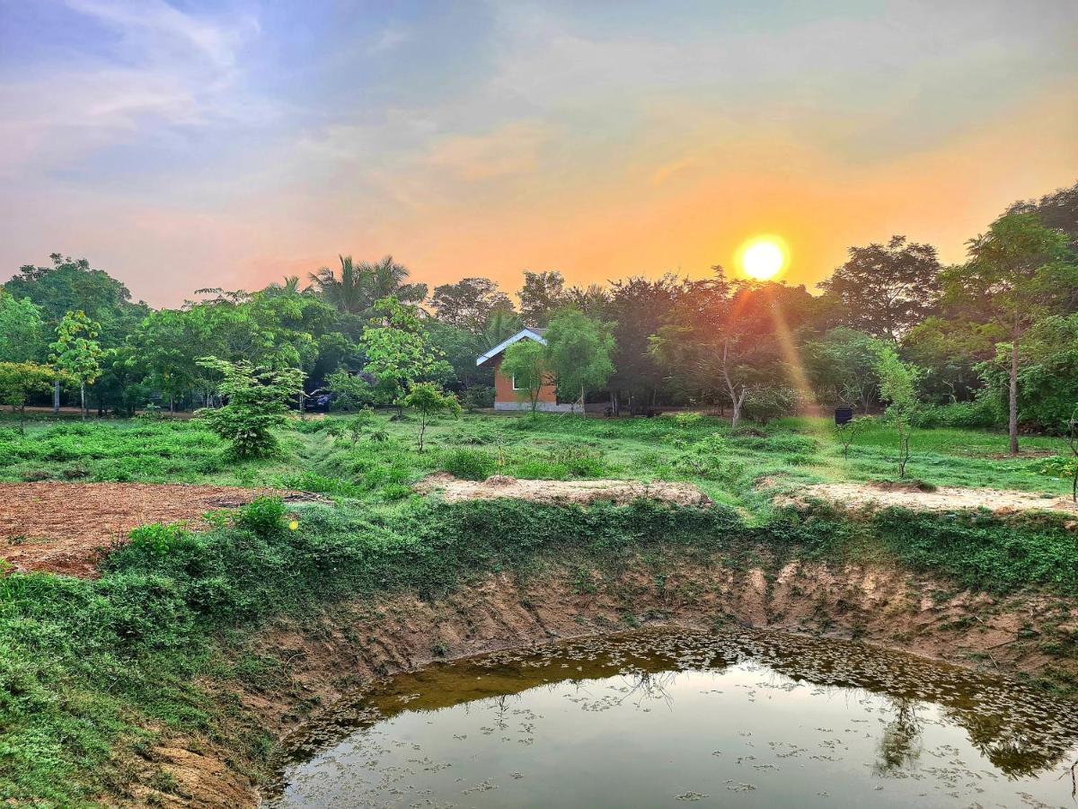 Ranakeliya - Yala