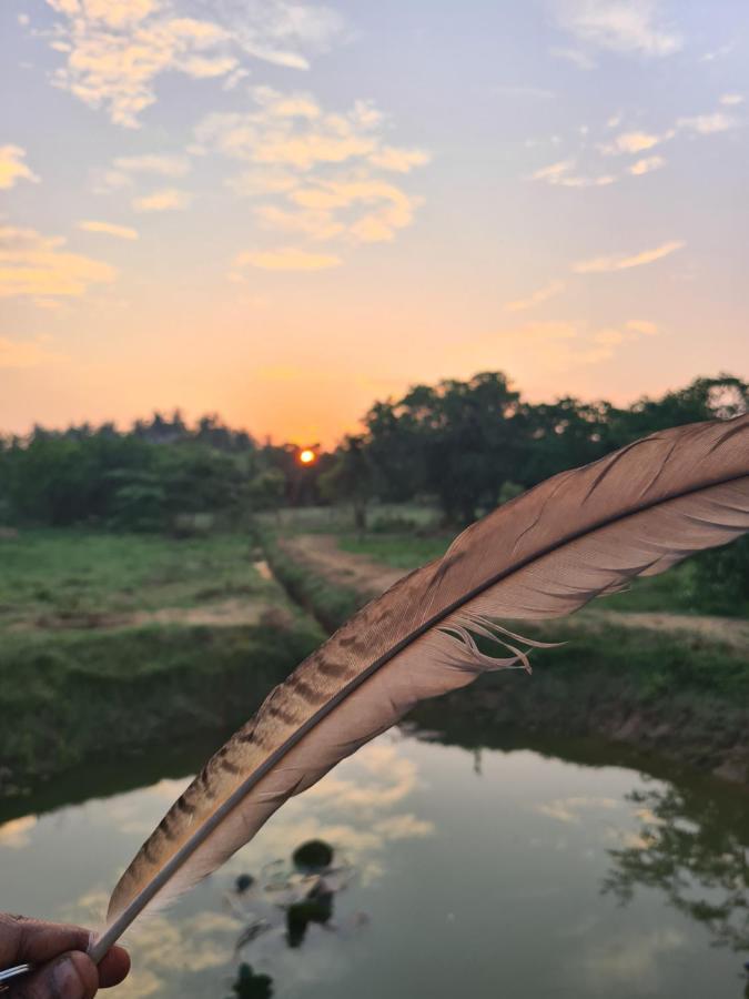 Ranakeliya - Lodge *