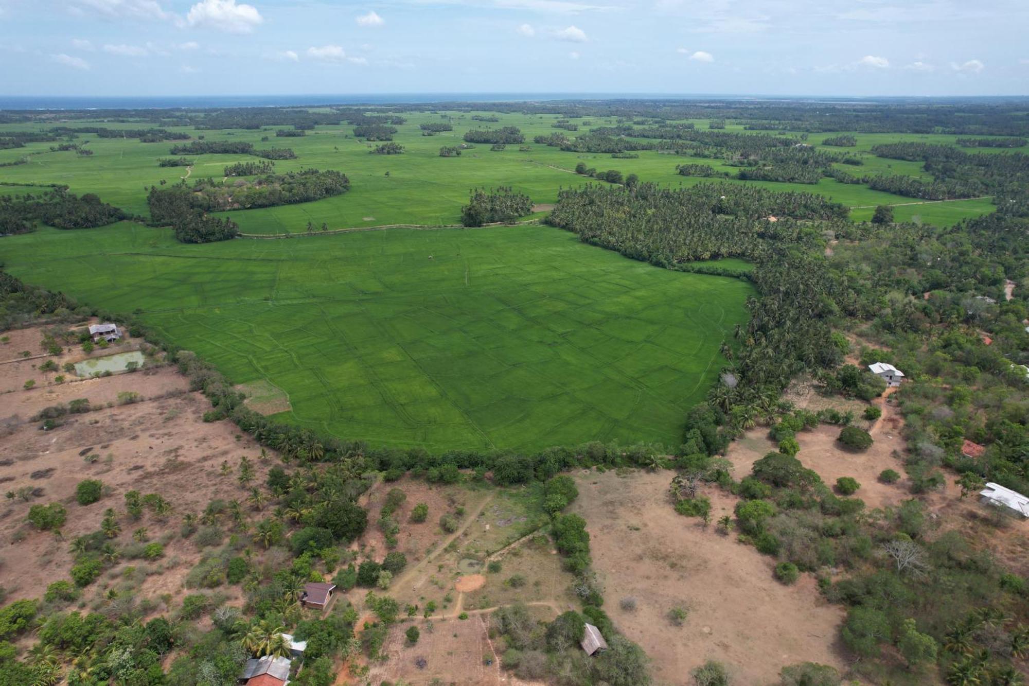 Ranakeliya - Yala